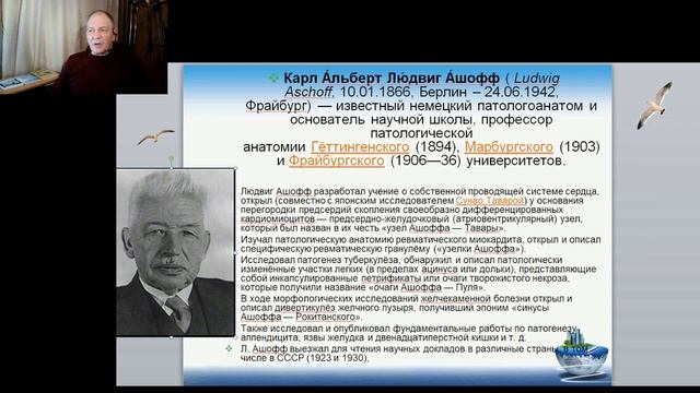 Физиология родов 9. Нижний сегмент матки - загадка не такая простая, как кажется. смотреть онлайн