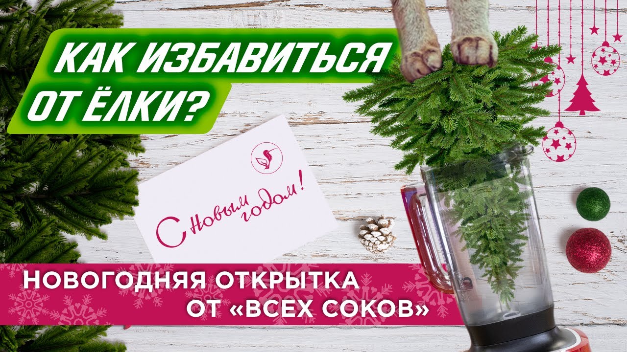 С Новым Годом!.. Но что потом делать с ёлкой?! смотреть онлайн