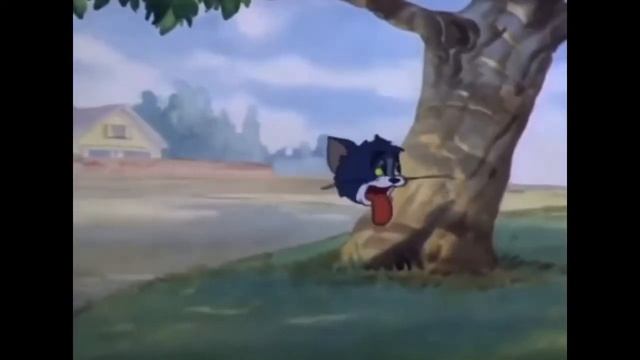 Boomerang Groovies: Jammer Anthem Starring Tom And Jerry смотреть онлайн