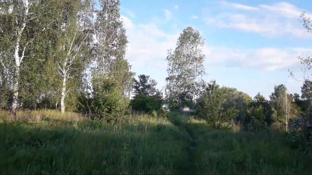 Природа на берегу реки Псел, в районе дачного поселка "Чистые пруды" смотреть онлайн