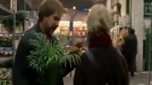 Blatt und Blüte смотреть онлайн