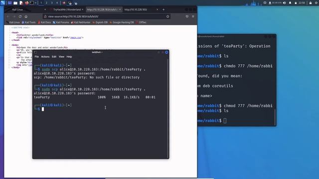Python Library Exploit | Horizontally | Wonderland - Enter wonderland | Ethical Hacking | CTF смотреть онлайн