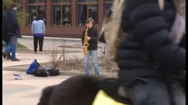Юный саксофонист на улице Пушкинская в Ростове-на-Дону смотреть онлайн