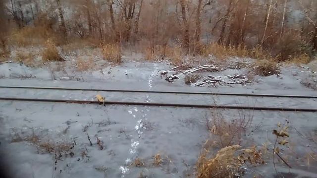 Лиса пришла смотреть онлайн