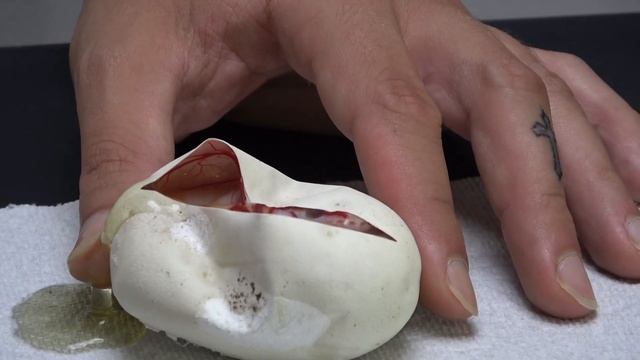 IMPOSSIBLE I DON'T BELIEVE IT!!! My Dream Ball Python Egg Cutting! смотреть онлайн