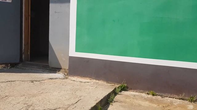 Боремся с блохами // Снова Алиэкспресс? смотреть онлайн