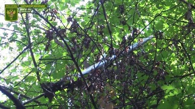 Разведывательное_подразделение_НМ_ЛНР_обнаружило_сбитый_беспилотный.mp4 смотреть онлайн