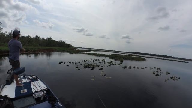 Fishing Super BLACK WATER for Bass!! смотреть онлайн