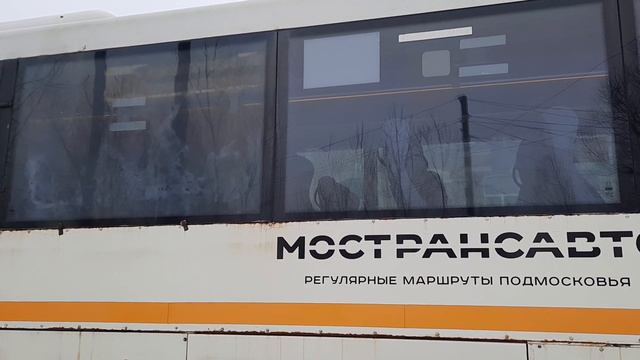 Автобус ГолАЗ-525110-11 "Вояж" следует по маршруту 25 "Барановское - Конобеево" смотреть онлайн