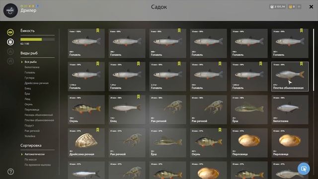 Выпуск #2 • Прокачка фидеров в Русской Рыбалке 4 • Первая рыбалка на Патерностер смотреть онлайн