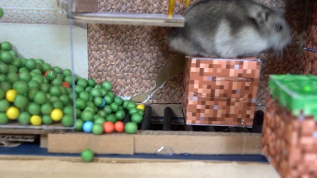 АМОНГ АС НАПАДАЕТ в РЕАЛЬНОЙ ЖИЗНИ и Приключение ХОМЯКА в Лабиринте из картона Все серии подряд смотреть онлайн