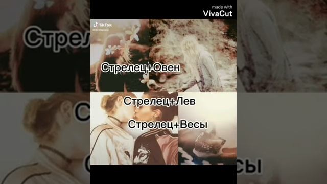 ВСЁ о ЗЗ. КТО ТЫ ПО ЗЗ.? смотреть онлайн