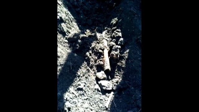 Коп в полях по второй мировой №2 смотреть онлайн