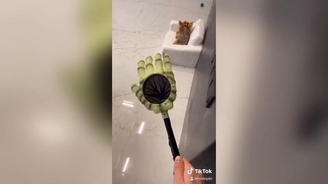 ТОП-15 ПРИКОЛОВ ЗА НЕДЕЛЮ ТИК ТОК | Злой Пёс