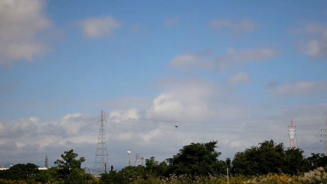 Hiroki Ito 伊藤寛規さん demo京都ラジコンヘリコプタークラブ20211010 смотреть онлайн