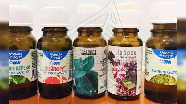 Какие запахи могут отпугнуть клопа? Эфирные масла и методы применения | Уничтожение клопов смотреть онлайн