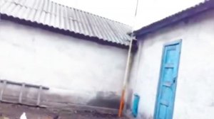 Николаевские голуби!г. Горловка