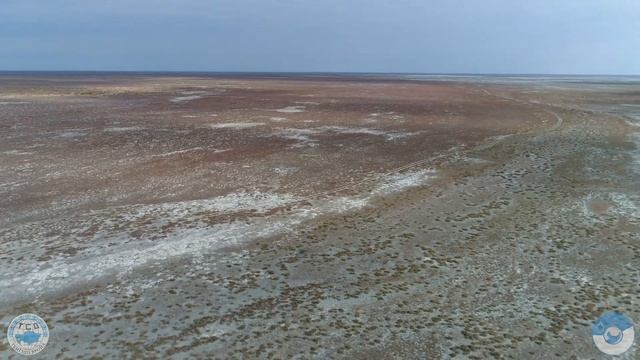 МОРЕ РЫБОЛОВНЫХ СЕТЕЙ И МУСОРА. Часть 2 смотреть онлайн