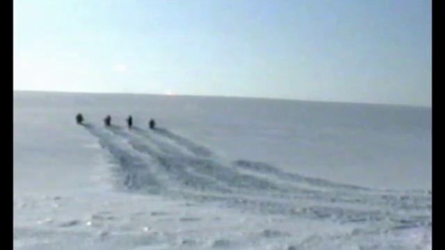 Дорога / Куда бегут собаки / 2002 смотреть онлайн