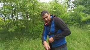 Готовим место под пасеку в лесу. Мои медоносы. Акация.Синяк. Донник. Липа. Подсо