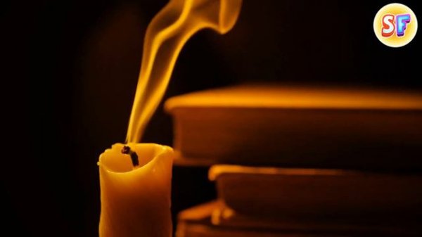 The Secret of the First Man on the Moon and Other Amazing Facts About the Satellite of Our Planet