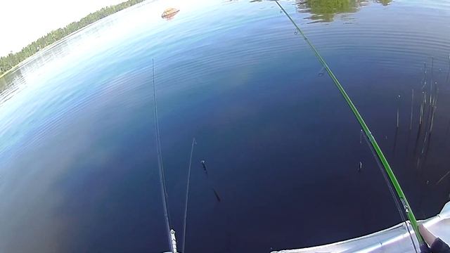 Летняя рыбалка. Ловля щуки и окуней на раттлины смотреть онлайн