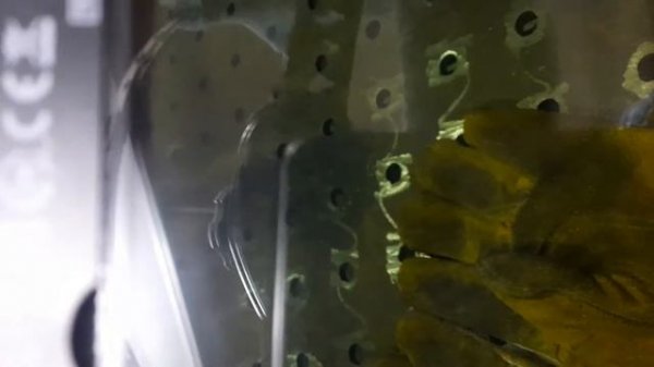 TECMEN 730 БРАТЬ СТОИТ !