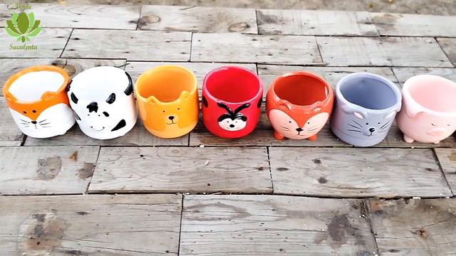 La maceta ideal para mis suculentas... смотреть онлайн