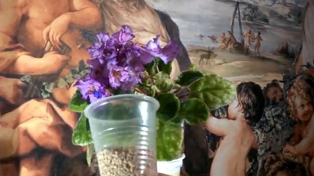 RS Bird Phoenix in diatomite смотреть онлайн