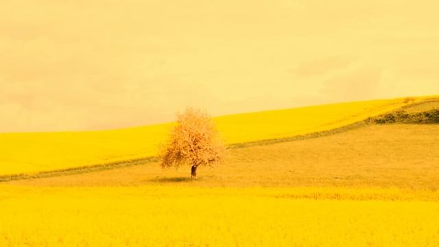 Мачеха решает сдать в приют детей миллионера. Но через пару лет в ее дверь постучали смотреть онлайн