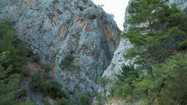 ВИДЫ ПОТРЯСАЮЩИЕ! Новый проект в Демирташе. Квартиры в Алании от застройщика. Жилье в Турции смотреть онлайн