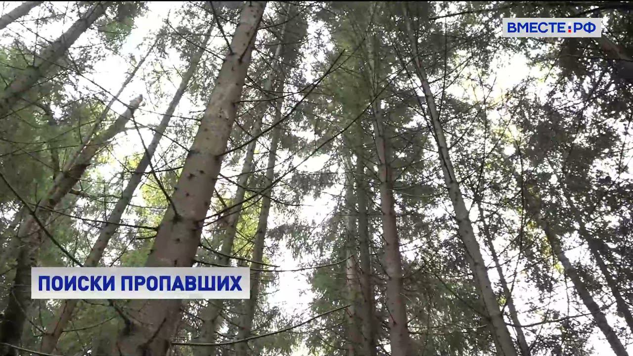 Как ищут заблудившихся грибников? смотреть онлайн