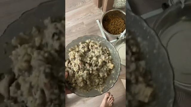 Готовим Веге кашу из дикого риса и гречки с мясными желудочками смотреть онлайн