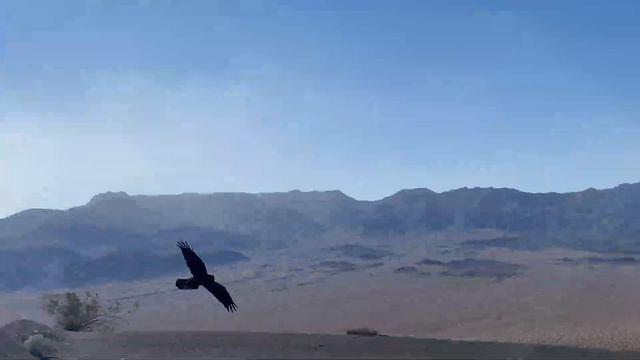 Путешествие в Долину Смерти смотреть онлайн