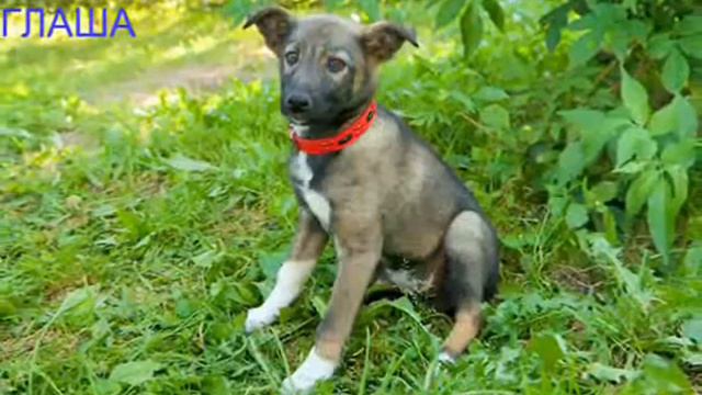 не возможно не любить друзей смотреть онлайн