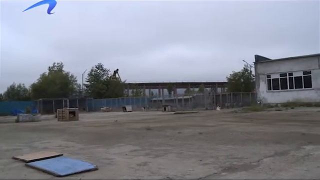 15 08 18 собачий приют смотреть онлайн