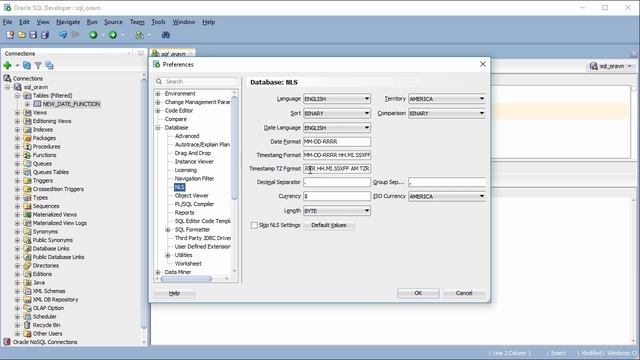 How to customise date time format in SQL Developer? смотреть онлайн