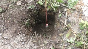 Как установить ЗАБОРНЫЙ СТОЛБ НА ВЕКА, Финская Технология