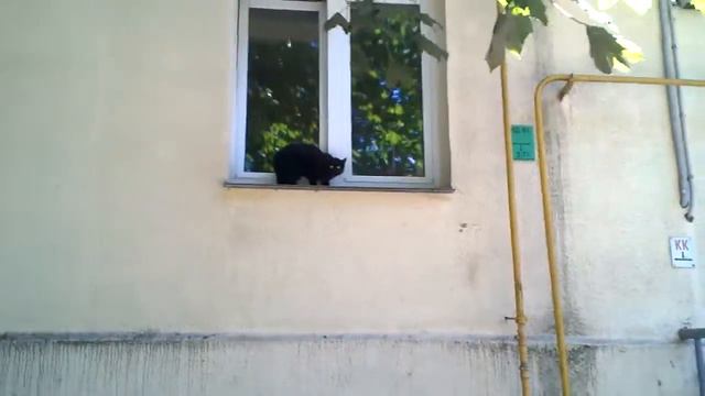 верните мне мой 2015 (убейте этих мразей) смотреть онлайн