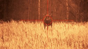 ОХОТА НА ЛОСЯ. ЗАГОН. ТВЕРСКАЯ ОБЛАСТЬ. ОХОТХОЗЯЙСТВО БЕЛКА.