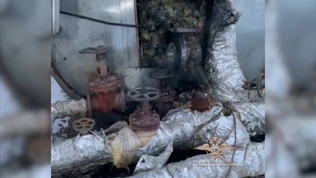 Обыск на подпольном нефтезаводе в Волгограде попал на видео смотреть онлайн