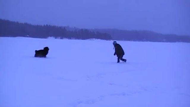 Svédországban/In Schweden смотреть онлайн