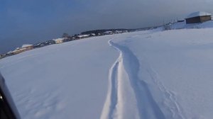 Поларис вайтрак lx500