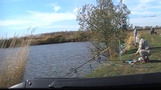 рыбалка на карпа и амура с ночевкой смотреть онлайн