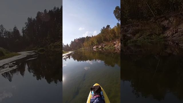 сплав на сапе по реке Илеть 2022 #supboard