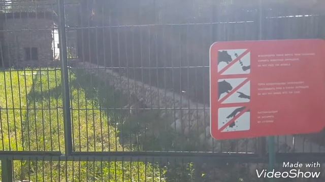 Зоопарк. Алматы смотреть онлайн