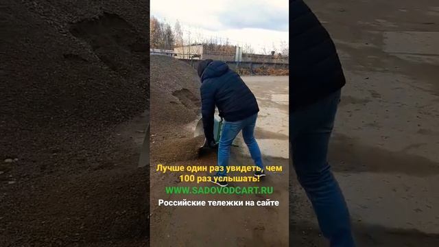 #сад #дача #тележка #счастье #youtubeshorts #цветы #gardener #garden #cart #beauty #shorts #рек смотреть онлайн