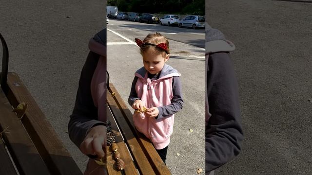 Как и во что поиграть с детьми на улице? Играем вместе смотреть онлайн