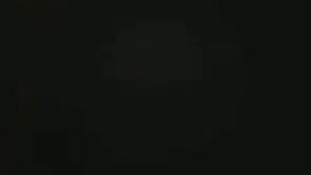 опять хомяки родились