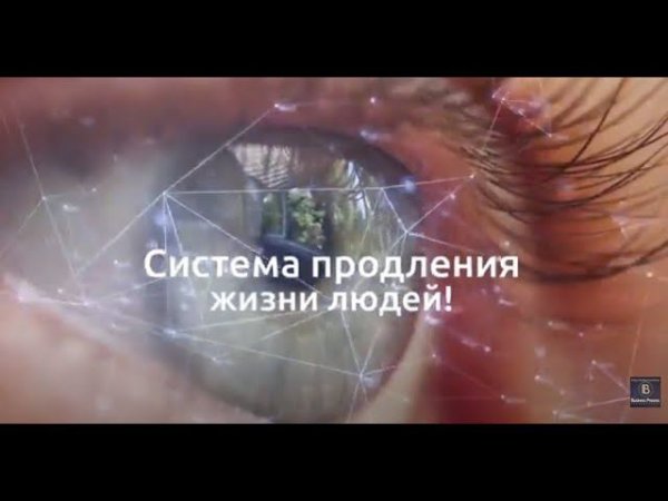 WebWellness   системы продления жизни! Обзор программы